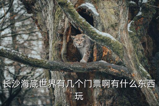長沙海底世界有幾個門票啊有什么東西玩