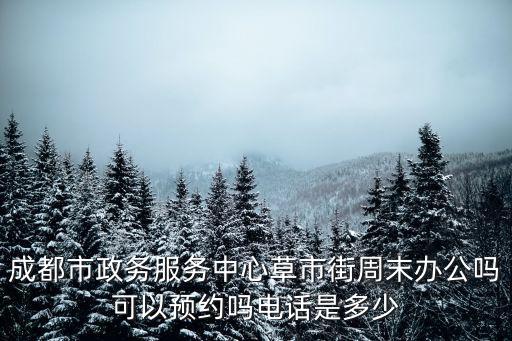 草市街，成都市政務服務中心草市街周末辦公嗎可以預約嗎電話是多少