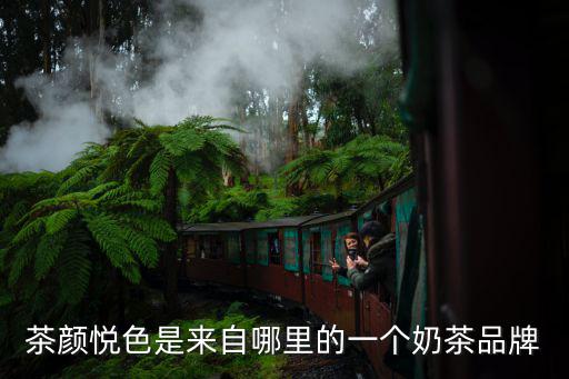 茶顏悅色是來自哪里的一個(gè)奶茶品牌