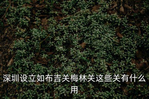 深圳設立如布吉關梅林關這些關有什么用