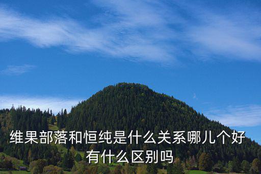 維果部落和恒純是什么關系哪兒個好 有什么區別嗎