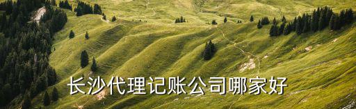 長(zhǎng)沙代理記賬公司哪家好