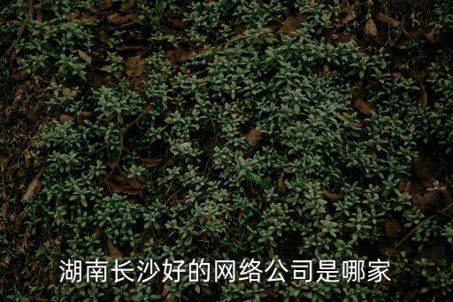 湖南長沙好的網絡公司是哪家