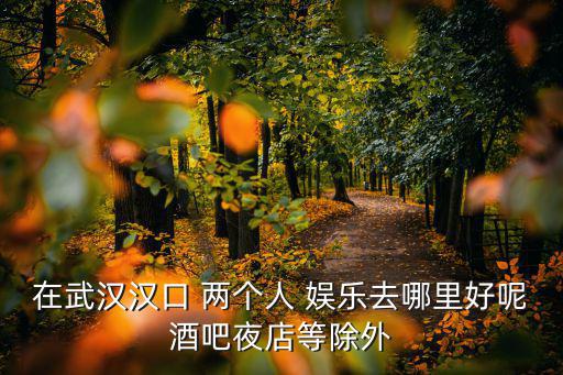 武漢娛樂，在武漢漢口 兩個人 娛樂去哪里好呢酒吧夜店等除外