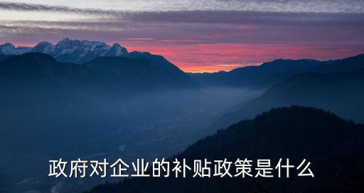 政府對企業的補貼政策是什么