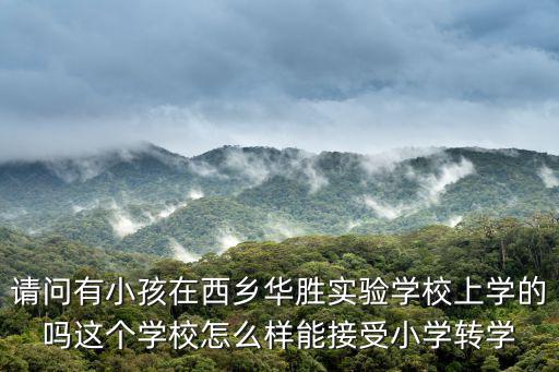 請問有小孩在西鄉(xiāng)華勝實驗學(xué)校上學(xué)的嗎這個學(xué)校怎么樣能接受小學(xué)轉(zhuǎn)學(xué)