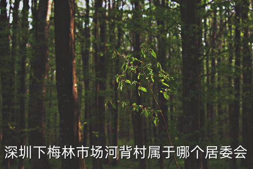 河背村，深圳下梅林市場河背村屬于哪個居委會