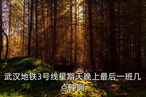 武漢地鐵3號(hào)線星期天晚上最后一班幾點(diǎn)鐘啊