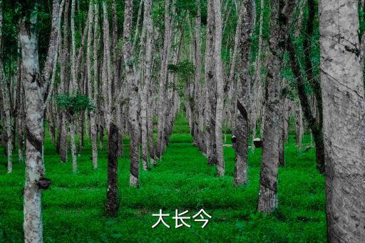 大長今