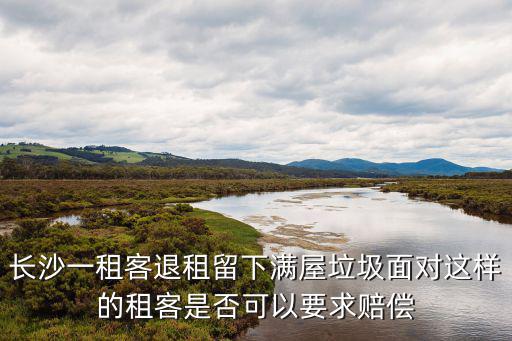 長沙一租客退租留下滿屋垃圾面對這樣的租客是否可以要求賠償