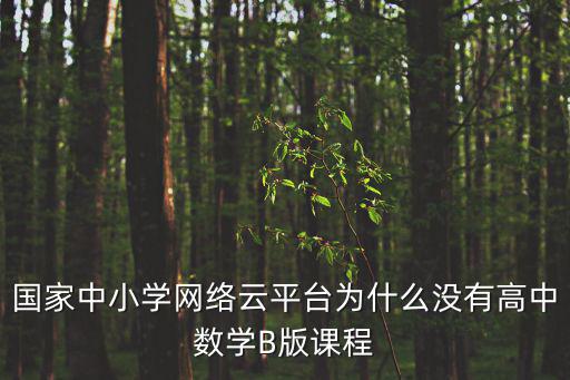 國家中小學(xué)網(wǎng)絡(luò)云平臺為什么沒有高中數(shù)學(xué)B版課程