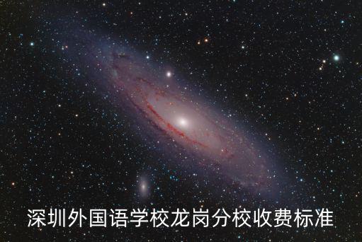 深圳外國(guó)語(yǔ)學(xué)校龍崗分校收費(fèi)標(biāo)準(zhǔn)