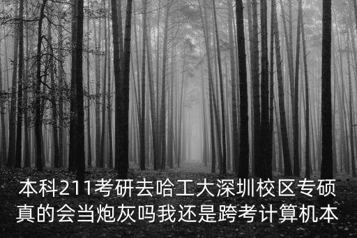 哈工深，哈工大深研院實力上哪一個檔次