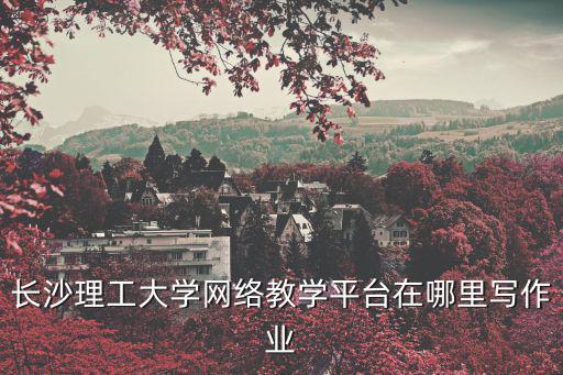 長(zhǎng)沙理工大學(xué)網(wǎng)絡(luò)教學(xué)平臺(tái)在哪里寫(xiě)作業(yè)