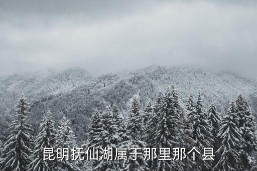 昆明撫仙湖屬于那里那個縣