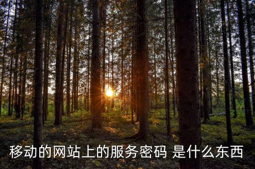 移動的網站上的服務密碼 是什么東西
