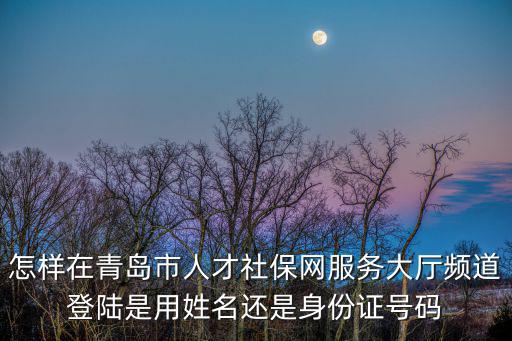 怎樣在青島市人才社保網服務大廳頻道登陸是用姓名還是身份證號碼
