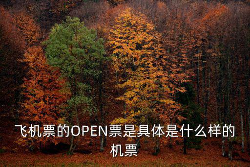 飛機(jī)票的OPEN票是具體是什么樣的機(jī)票