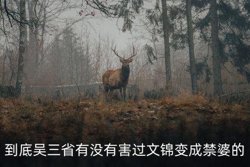 禁婆是什么，到底吳三省有沒有害過文錦變成禁婆的