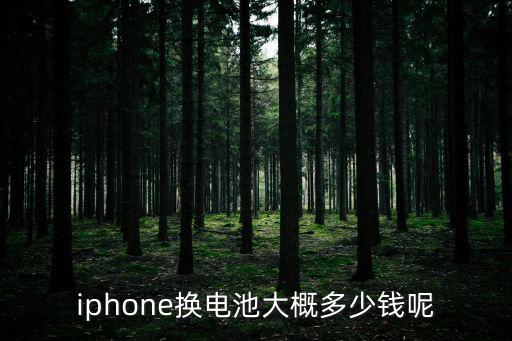 iphone換電池大概多少錢呢