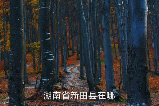 湖南新田縣，新田縣在哪