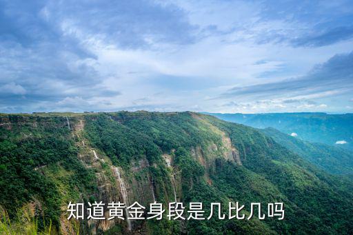 知道黃金身段是幾比幾嗎