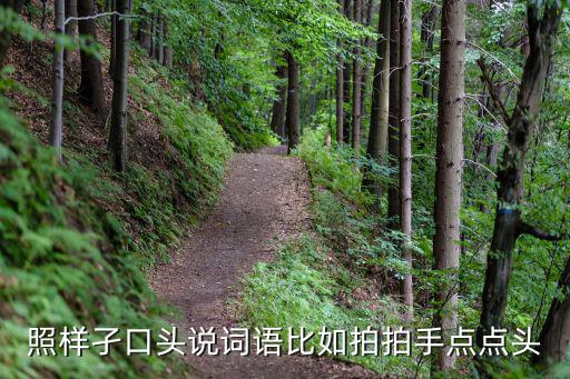 照樣孑口頭說詞語比如拍拍手點點頭
