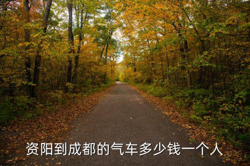 資陽到成都的氣車多少錢一個人