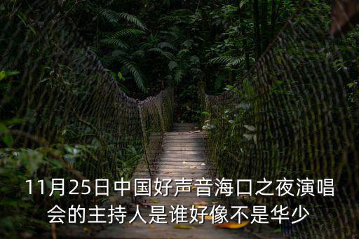 11月25日中國(guó)好聲音海口之夜演唱會(huì)的主持人是誰好像不是華少