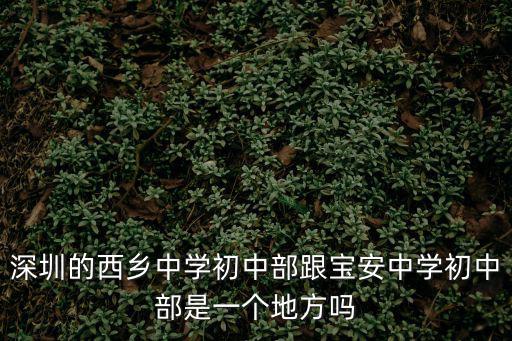 深圳的西鄉中學初中部跟寶安中學初中部是一個地方嗎