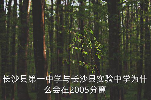 長沙縣實(shí)驗(yàn)中學(xué)，長沙縣第一中學(xué)與長沙縣實(shí)驗(yàn)中學(xué)為什么會在2005分離