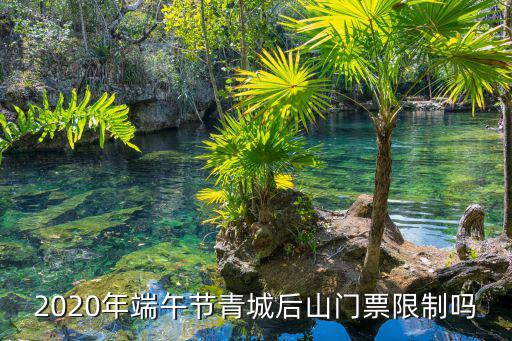 青城后山門票，2020年端午節青城后山門票限制嗎