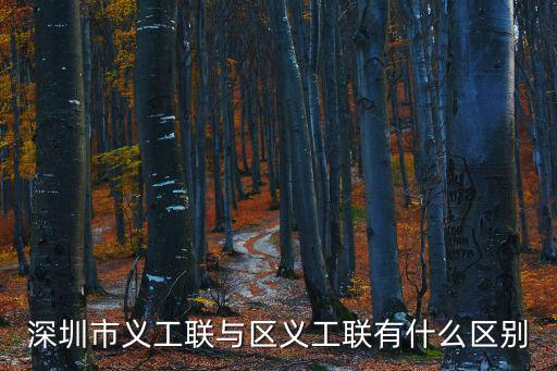 深圳市義工聯與區義工聯有什么區別