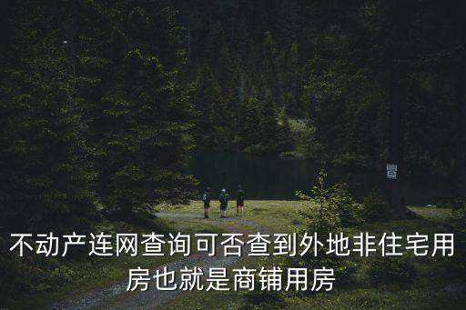不動產(chǎn)查詢，不動產(chǎn)連網(wǎng)查詢可否查到外地非住宅用房也就是商鋪用房