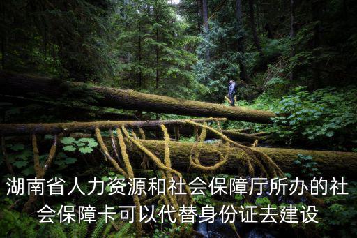 湖南省人力資源和社會保障廳所辦的社會保障卡可以代替身份證去建設