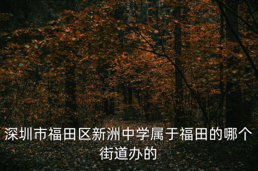 深圳市福田區新洲中學屬于福田的哪個街道辦的
