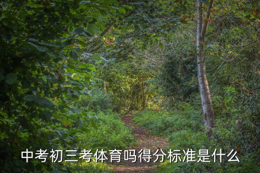 中考初三考體育嗎得分標準是什么