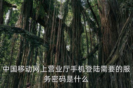 中國移動網上營業廳手機登陸需要的服務密碼是什么