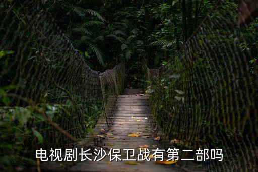 長沙保衛戰電視劇全集，有沒有類似長沙保衛戰的電視劇推薦幾個