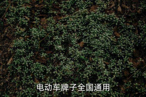電動車牌子全國通用