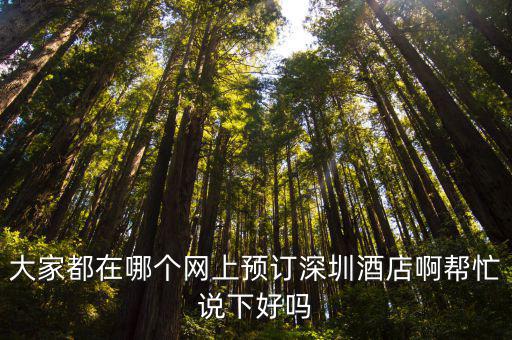 大家都在哪個網上預訂深圳酒店啊幫忙說下好嗎