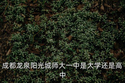 成都龍泉陽光城師大一中是大學(xué)還是高中
