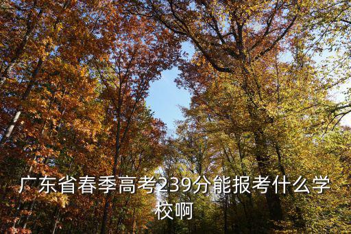 廣東省春季高考239分能報考什么學校啊