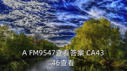 ca4346，A FM9547查看答案 CA4346查看