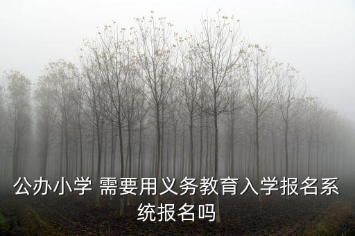 公辦小學 需要用義務教育入學報名系統報名嗎