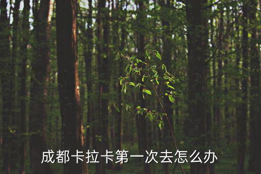 成都卡拉卡第一次去怎么辦