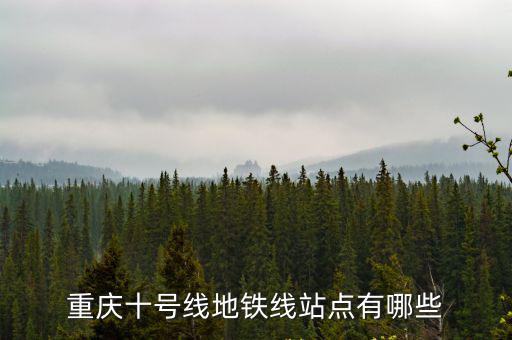 重慶十號(hào)線地鐵線站點(diǎn)有哪些