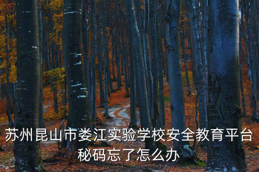 蘇州昆山市婁江實驗學校安全教育平臺秘碼忘了怎么辦
