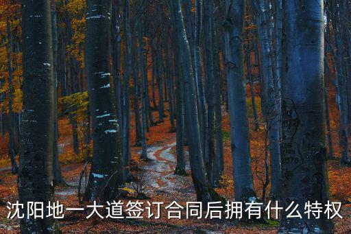 地一大道，沈陽(yáng)地一大道簽訂合同后擁有什么特權(quán)