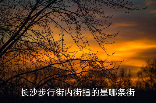 長沙步行街，長沙步行街內(nèi)街指的是哪條街